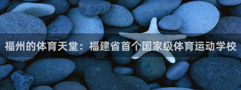 黑白体育篮球