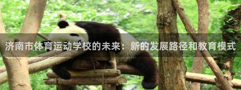 黑白体育下载官网
