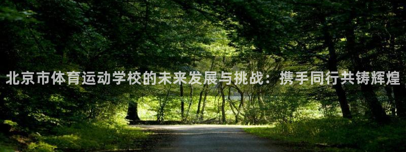 黑白体育欧洲杯：北京市体育运动学校的未来发展与挑战：携手同行共铸辉煌