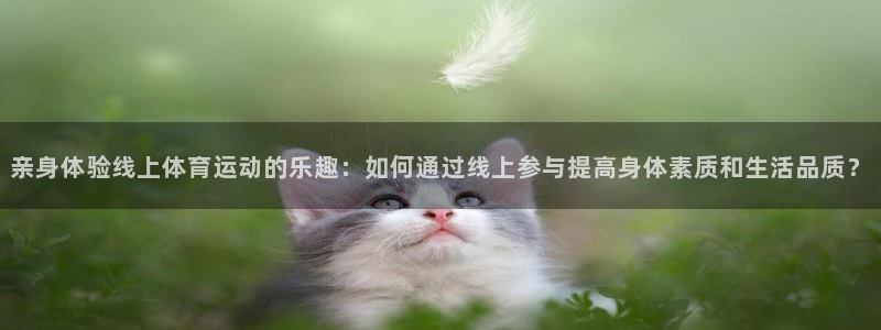 黑白体育宋亚东ufc