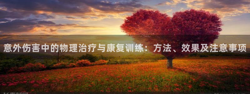 黑白体育生是什么意思：意外伤害中的物理治疗与康复训练：方法、效果及注意事项
