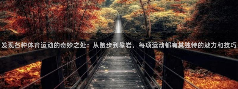 黑白体育jrs