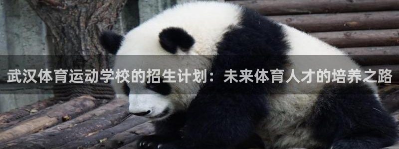 黑白体育直播在线